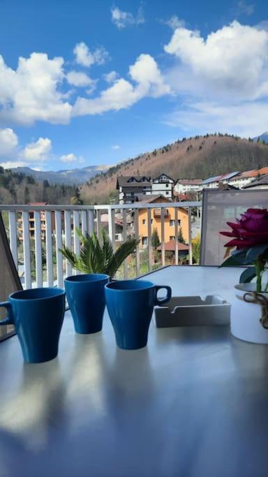 Apartament Erika Premium Sinaia Bagian luar foto