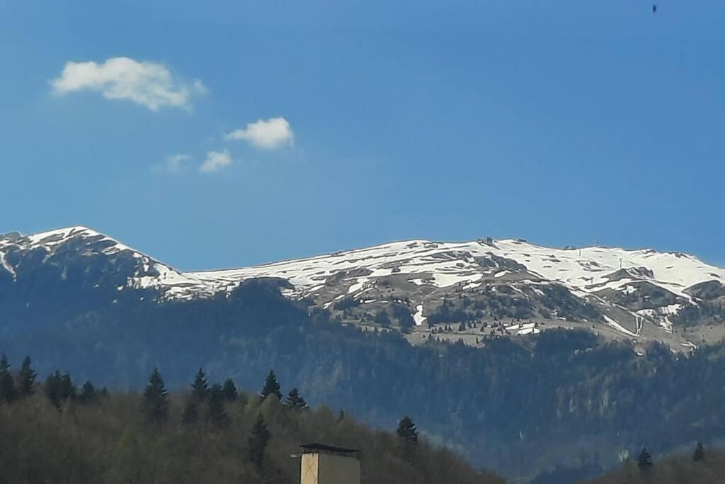 Apartament Erika Premium Sinaia Bagian luar foto