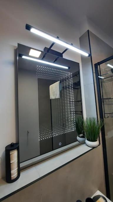 Apartament Erika Premium Sinaia Bagian luar foto